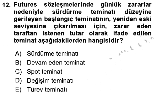 Finansal Ekonomi 2018-2019 Yaz Okulu Sınavı - 12. soru