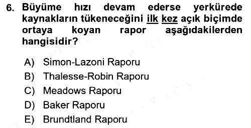 İktisadi Büyüme 2017-2018 Ara Sınav - 6. soru