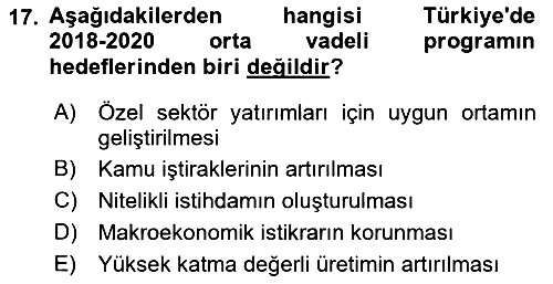 İktisadi Büyüme 2018-2019 Dönem Sonu Sınavı - 17. soru