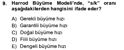İktisadi Büyüme 2013-2014 Tek Ders Sınavı - 9. soru