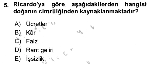 İktisadi Büyüme 2018-2019 Yaz Okulu Sınavı - 5. soru