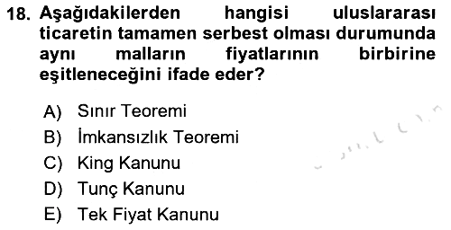 İktisadi Büyüme 2021-2022 Yaz Okulu Sınavı - 18. soru