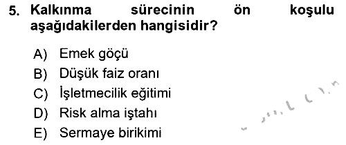 İktisadi Kalkınma 2018-2019 Yaz Okulu Sınavı - 5. soru