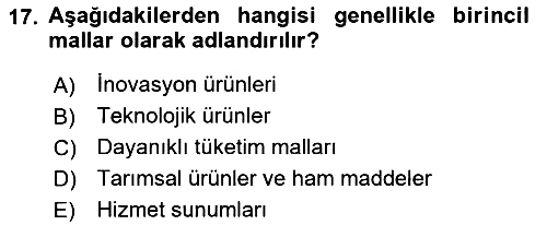 İktisadi Kalkınma 2018-2019 Yaz Okulu Sınavı - 17. soru