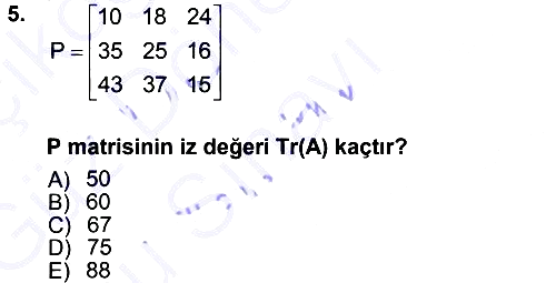 Matematiksel İktisat 2012-2013 Dönem Sonu Sınavı - 5. soru