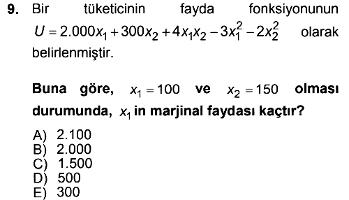 Matematiksel İktisat 2012-2013 Dönem Sonu Sınavı - 9. soru