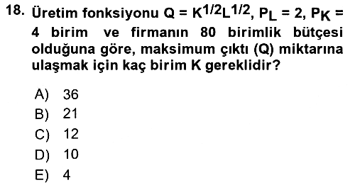Matematiksel İktisat 2023-2024 Yaz Okulu Sınavı - 18. soru