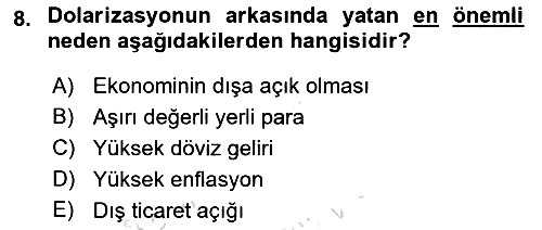 Para Teorisi 2024-2025 Ara Sınav - 8. soru