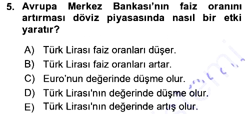 Para Teorisi 2015-2016 Dönem Sonu Sınavı - 5. soru