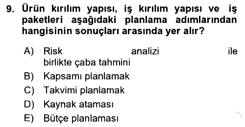 Sosyal Bilimlerde Proje Yönetimi 2024-2025 Ara Sınav - 9. soru