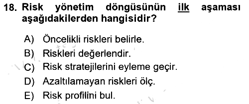 Sosyal Bilimlerde Proje Yönetimi 2024-2025 Dönem Sonu Sınavı - 18. soru