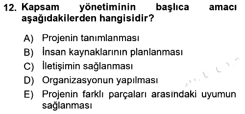 Sosyal Bilimlerde Proje Yönetimi 2022-2023 Yaz Okulu Sınavı - 12. soru