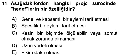 Sosyal Bilimlerde Proje Yönetimi 2023-2024 Yaz Okulu Sınavı - 11. soru