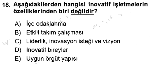 Teknoloji, İnnovasyon Ve Girişimcilik 2023-2024 Ara Sınav - 18. soru