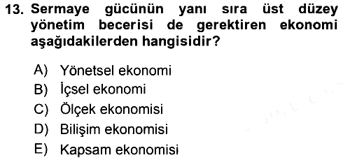 Uluslararası İktisat Politikası 2015-2016 Tek Ders Sınavı - 13. soru