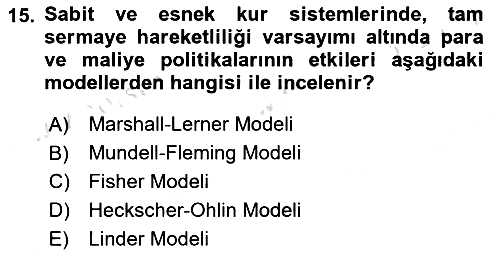 Uluslararası İktisat Politikası 2021-2022 Yaz Okulu Sınavı - 15. soru