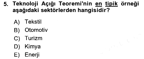 Uluslararası İktisat Teorisi 2017-2018 3 Ders Sınavı - 5. soru