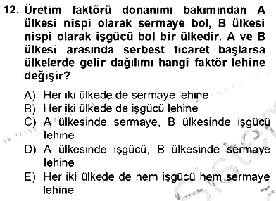 Uluslararası İktisat Teorisi 2012-2013 Ara Sınav - 12. soru