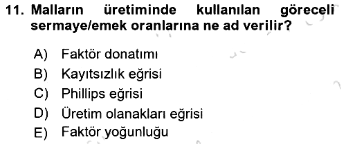 Uluslararası İktisat Teorisi 2019-2020 Ara Sınav - 11. soru