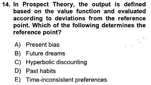 Behavioral Economics 2024-2025 Yaz Okulu Sınavı - 14. soru