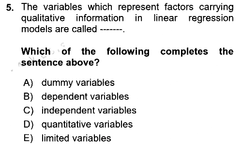 Econometrics 1 2023-2024 Yaz Okulu Sınavı - 5. soru