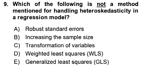 Econometrics 2 2023-2024 Ara Sınav - 9. soru