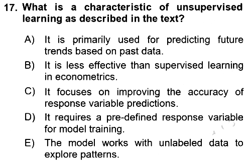 Econometrics 2 2023-2024 Dönem Sonu Sınavı - 17. soru