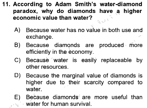 Economics Of Natural Resources And Environment 2024-2025 Ara Sınav - 11. soru