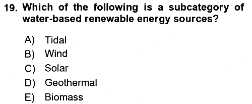 Energy Economics 2025-2026 Ara Sınav - 19. soru