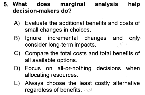 Health Economics 2025-2026 Ara Sınav - 5. soru