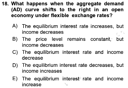 International Economics 2 2024-2025 Dönem Sonu Sınavı - 18. soru