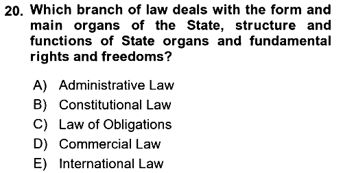 Introduction to Law 2019-2020 Ara Sınav - 20. soru