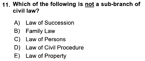 Introduction to Law 2018-2019 Dönem Sonu Sınavı - 11. soru