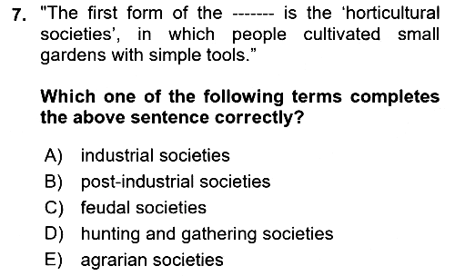 Introduction to Sociology 2019-2020 Ara Sınav - 7. soru