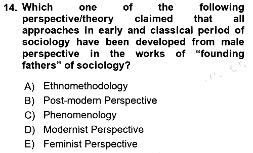 Introduction to Sociology 2024-2025 Ara Sınav - 14. soru