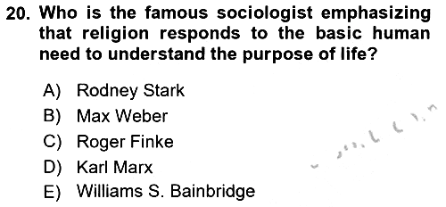 Introduction to Sociology 2018-2019 Yaz Okulu Sınavı - 20. soru