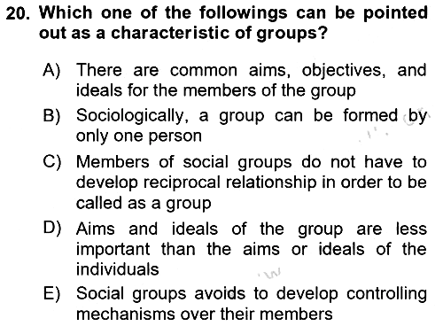 Introduction to Sociology 2020-2021 Yaz Okulu Sınavı - 20. soru