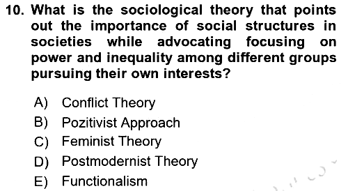 Introduction to Sociology 2023-2024 Yaz Okulu Sınavı - 10. soru