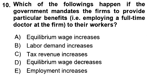 Labor Economics 2024-2025 Ara Sınav - 10. soru