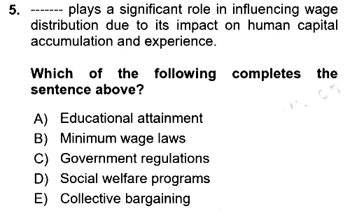 Labor Economics 2023-2024 Dönem Sonu Sınavı - 5. soru
