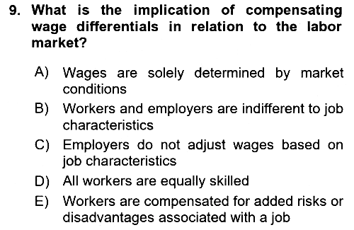 Labor Economics 2023-2024 Dönem Sonu Sınavı - 9. soru