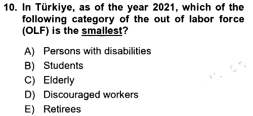 Labor Economics 2024-2025 Yaz Okulu Sınavı - 10. soru