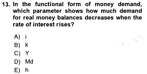 Macroeconomic Theory 2023-2024 Ara Sınav - 13. soru