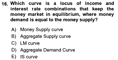 Macroeconomic Theory 2024-2025 Ara Sınav - 16. soru