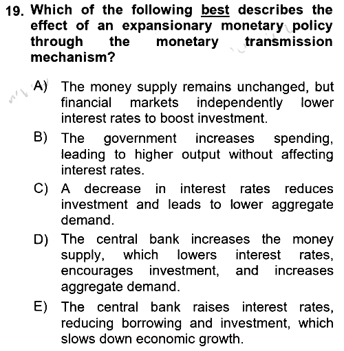 Macroeconomic Theory 2024-2025 Ara Sınav - 19. soru