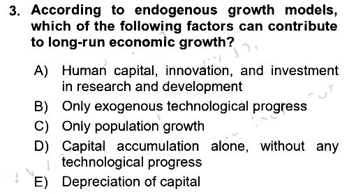 Macroeconomic Theory 2024-2025 Dönem Sonu Sınavı - 3. soru