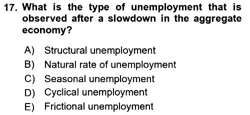 Macroeconomic Theory 2024-2025 Yaz Okulu Sınavı - 17. soru