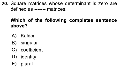Mathematical Economics 2023-2024 Ara Sınav - 20. soru
