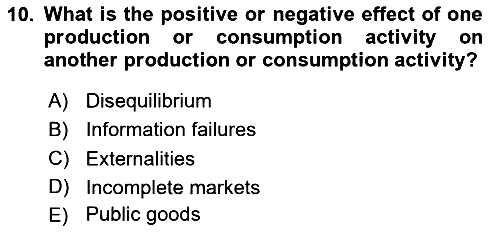 Public Finance 2024-2025 Ara Sınav - 10. soru