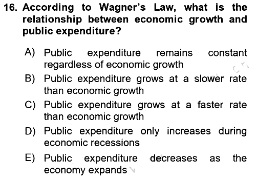 Public Finance 2024-2025 Ara Sınav - 16. soru
